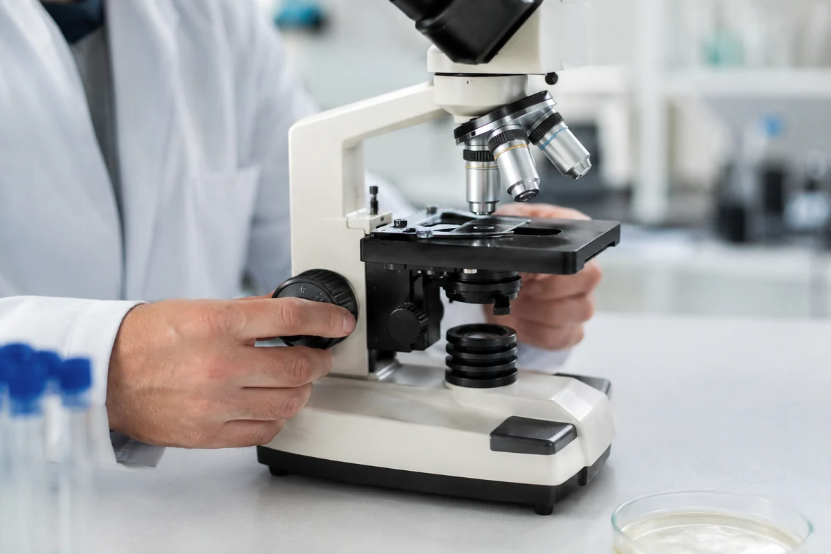 Researcher using a laboratory microscope